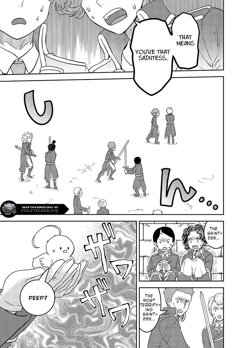 Seijo Dakedo Yami Ochi Shitara Hiyoko ni Narimashita! Chapter 6.1 - page 9