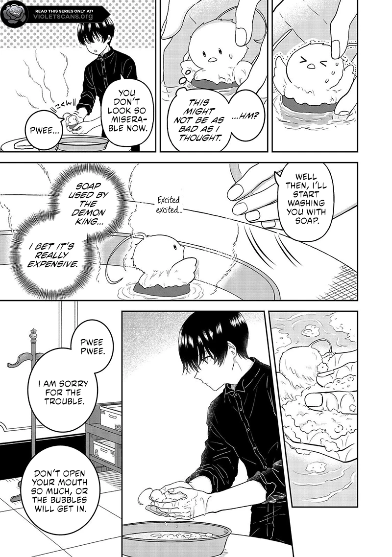 Seijo Dakedo Yami Ochi Shitara Hiyoko ni Narimashita! Chapter 8.1 - page 5