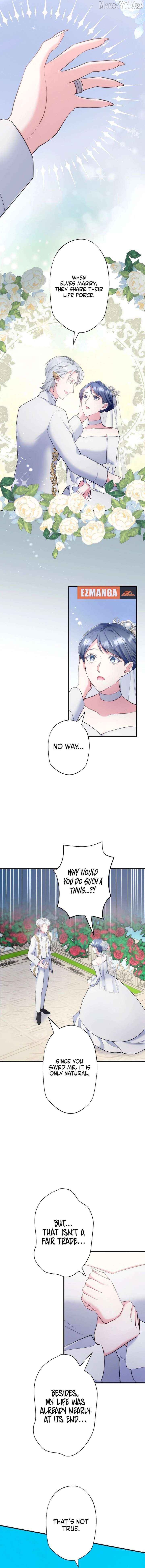 The Abandoned Great Saint Is Doted On by an Elf and Returns to Her Homeland Chapter 17 - page 16