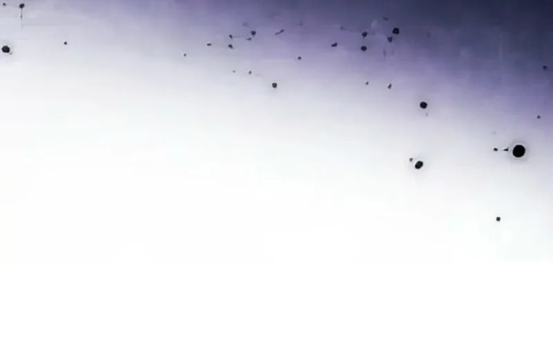 The Duchess Decides to Have an Affair Chapter 17 - page 20