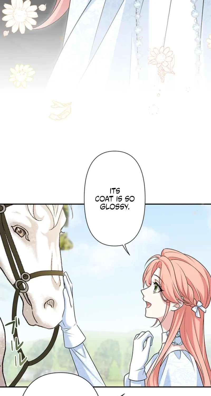 The Duchess Decides to Have an Affair Chapter 17 - page 36