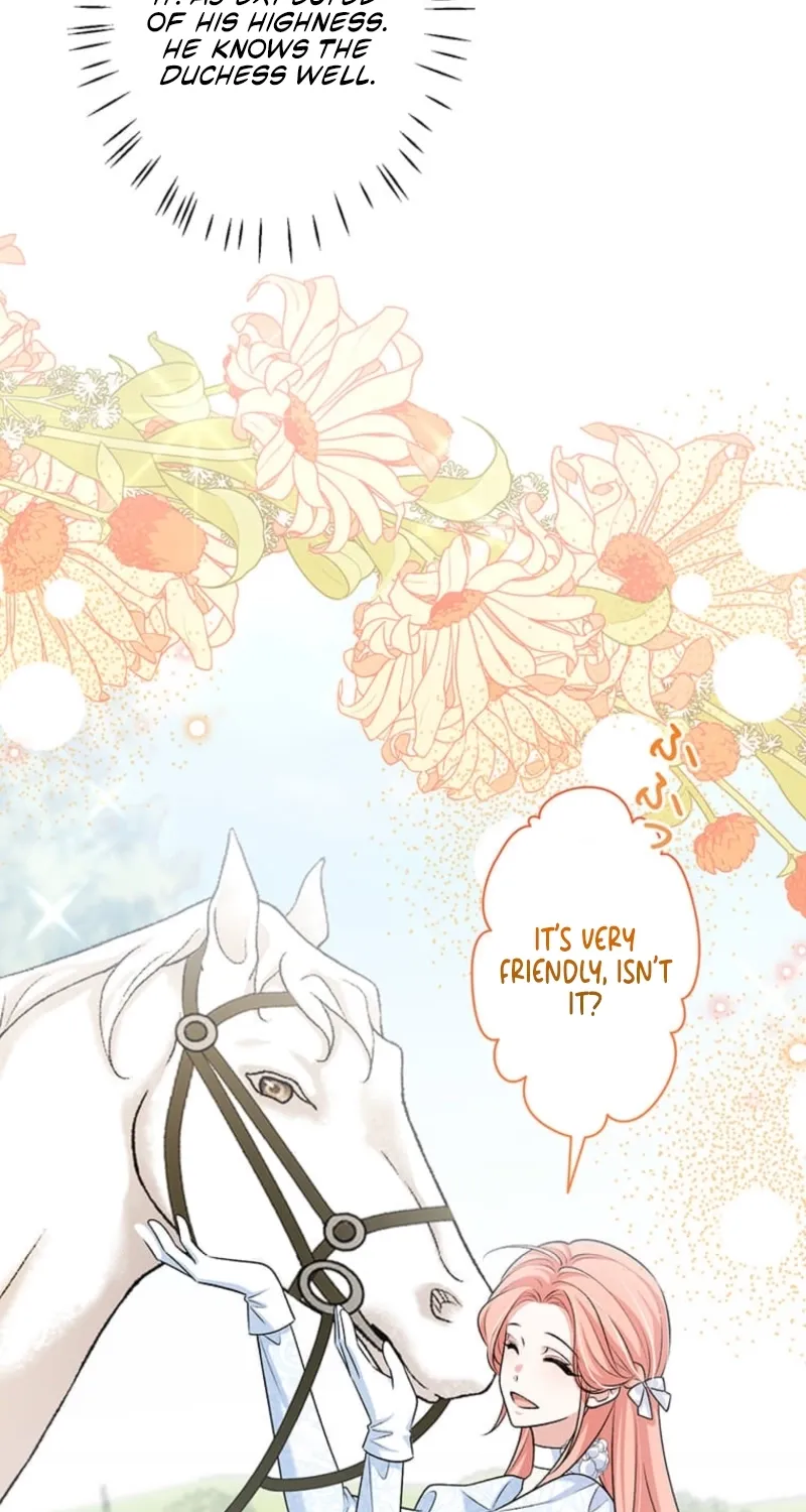 The Duchess Decides to Have an Affair Chapter 17 - page 38