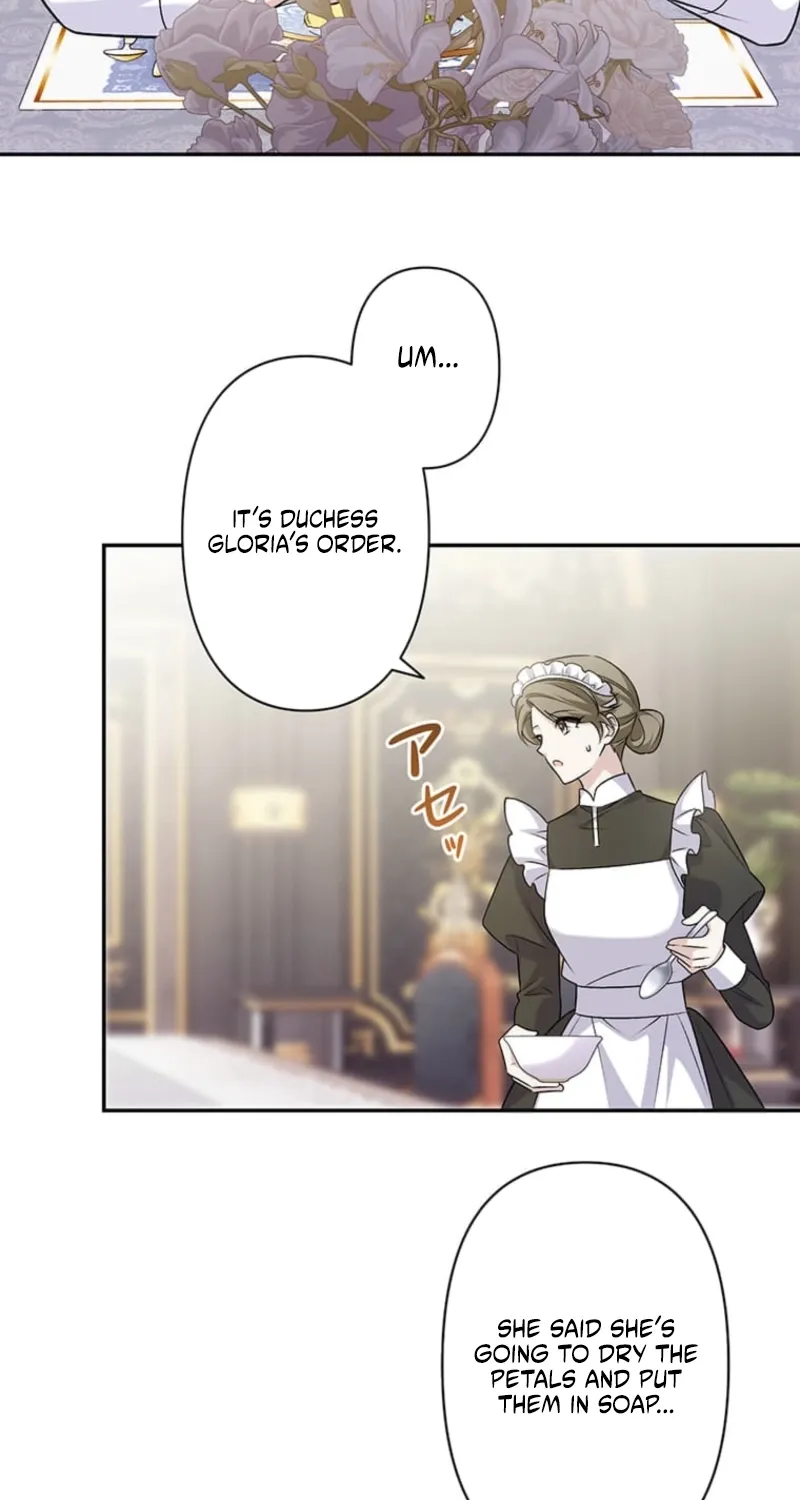 The Duchess Decides to Have an Affair Chapter 17 - page 47