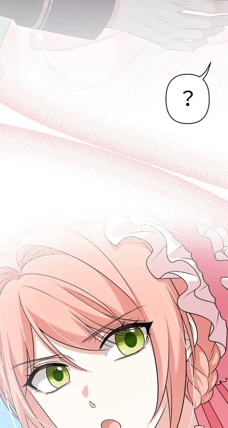 The Duchess Decides to Have an Affair Chapter 16 - page 39