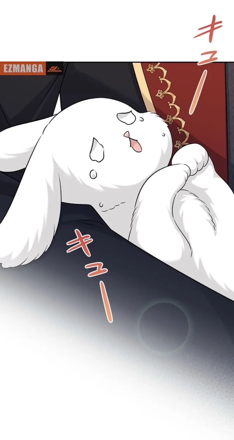 The Duchess Decides to Have an Affair Chapter 14 - page 11