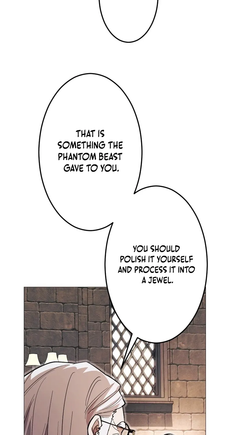 The Divine-Eyed Grimoire Mage: Jewel Saga Chapter 10 - page 91