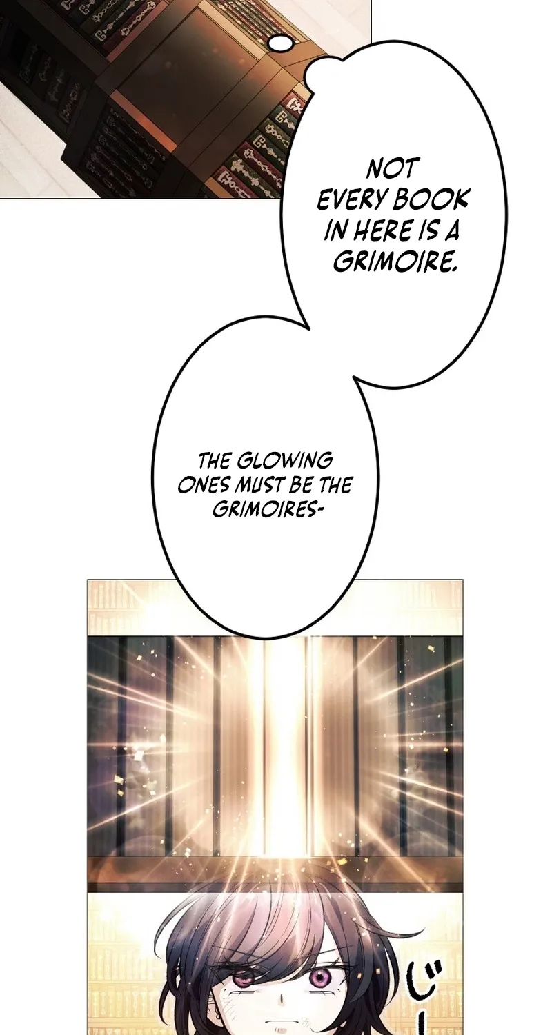 The Divine-Eyed Grimoire Mage: Jewel Saga Chapter 11 - page 38