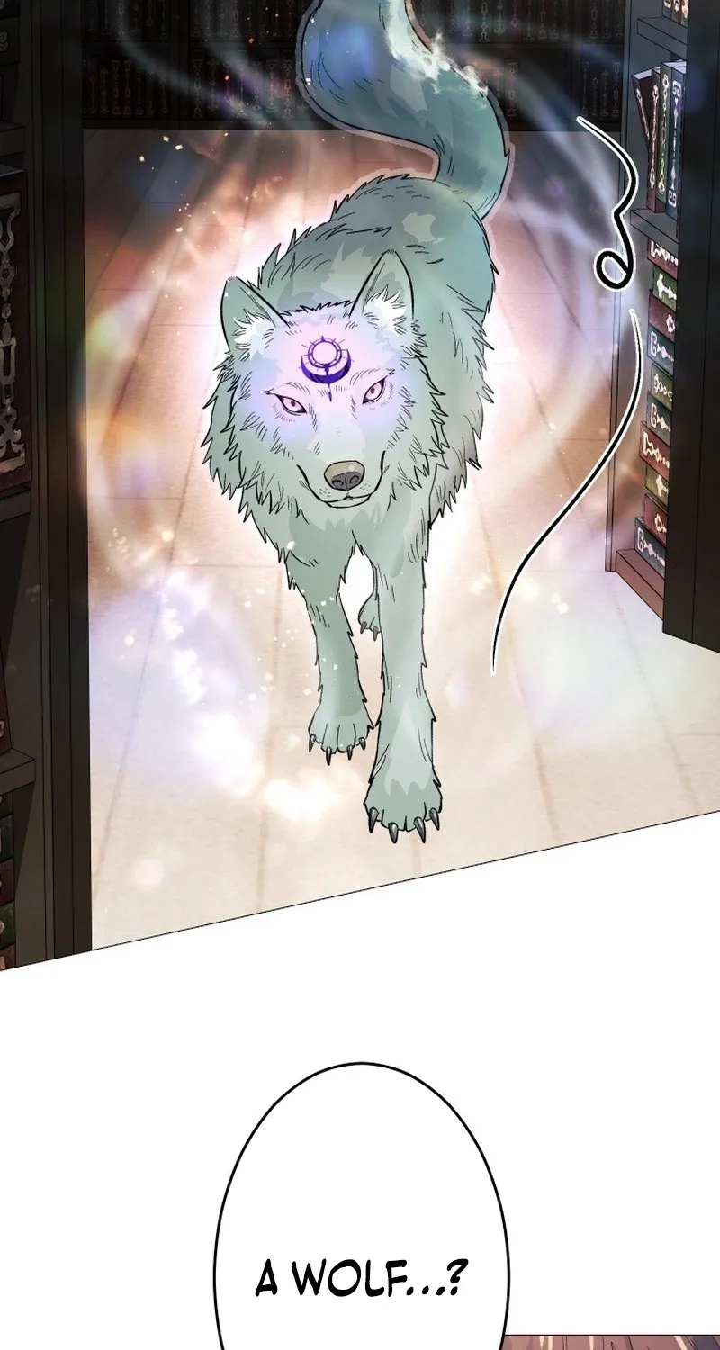 The Divine-Eyed Grimoire Mage: Jewel Saga Chapter 11 - page 44