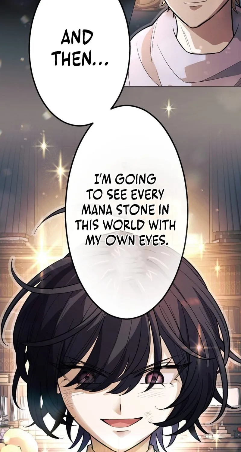 The Divine-Eyed Grimoire Mage: Jewel Saga Chapter 12 - page 46
