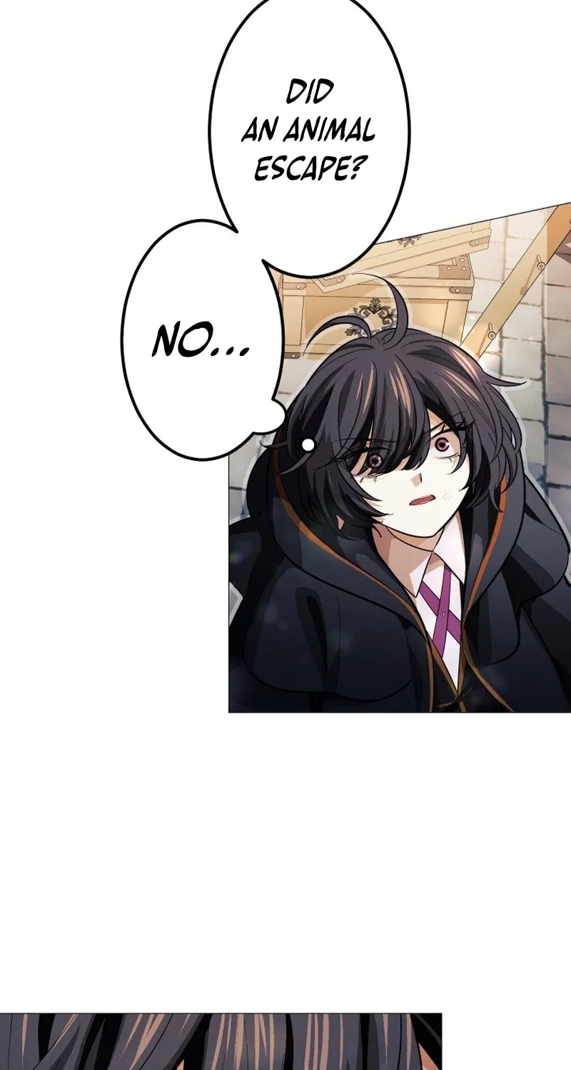 The Divine-Eyed Grimoire Mage: Jewel Saga Chapter 13 - page 23