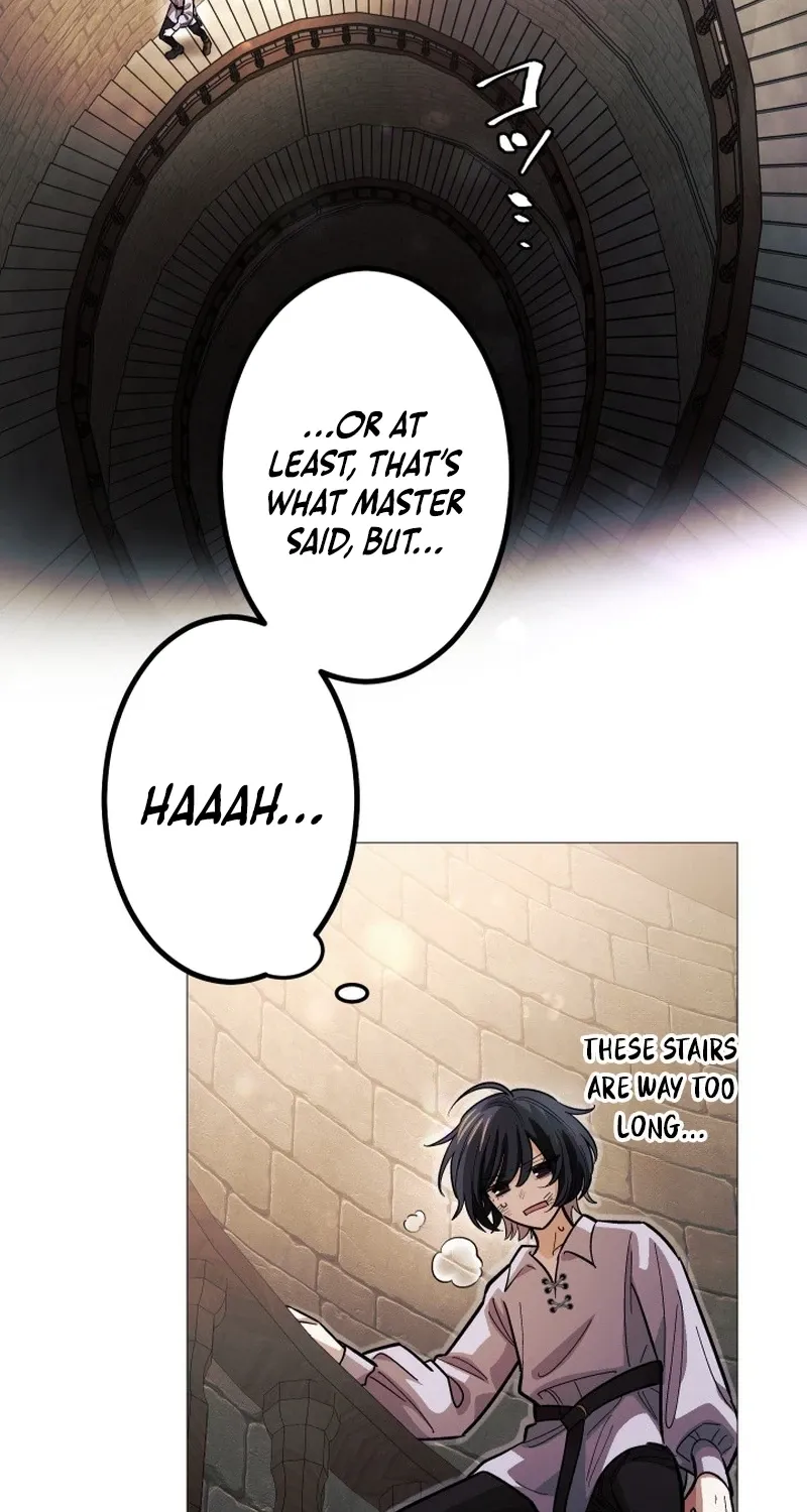 The Divine-Eyed Grimoire Mage: Jewel Saga Chapter 6 - page 14