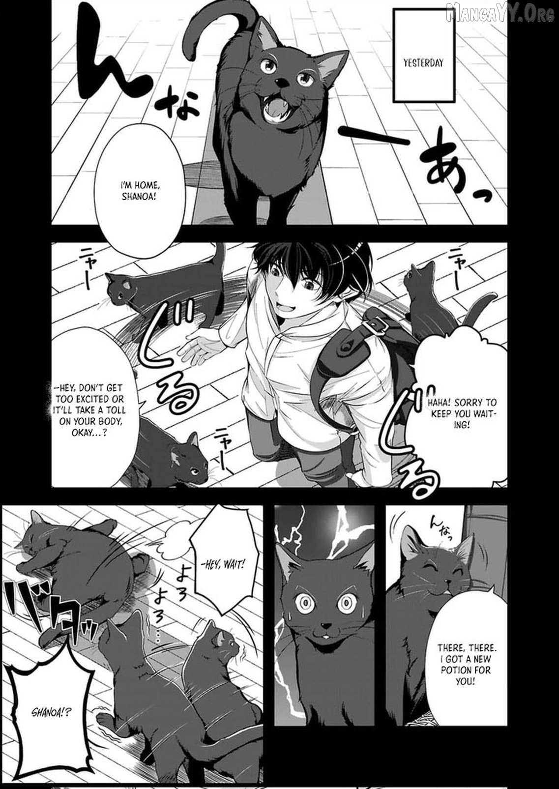 When Dungeons Appeared on Earth, Only I Gained Access to Another World: With a Unique Job System and My Cat Turned Divine Beast, I Dominate Both Worlds Chapter 2 - page 5
