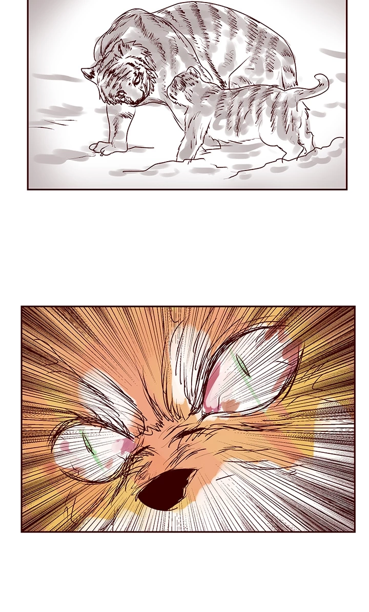 Muscle Girls Colosseum Chapter 3 - page 19