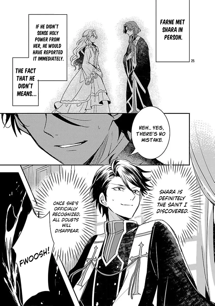 Gyakutaisarete Ita Shouka no Reijou wa Seijo no Chikara wo Te ni Ire, Mujikaku ni Youshanaku Gyakushuu suru Chapter 16 - page 29