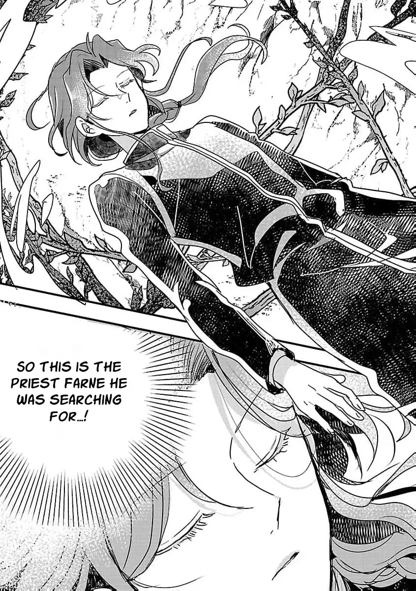 Gyakutaisarete Ita Shouka no Reijou wa Seijo no Chikara wo Te ni Ire, Mujikaku ni Youshanaku Gyakushuu suru Chapter 18 - page 17