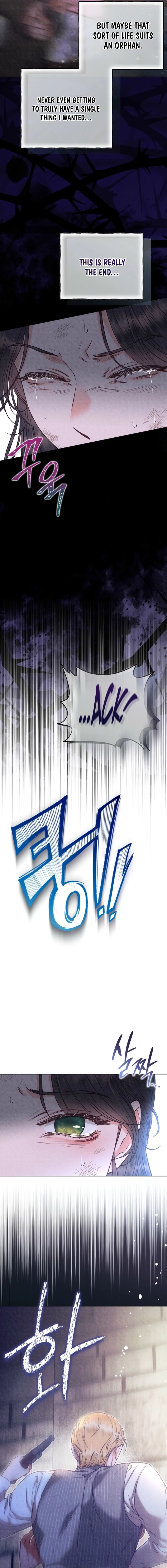 Dear My Rude Darling With Multiple Personalities Chapter 49 - page 17