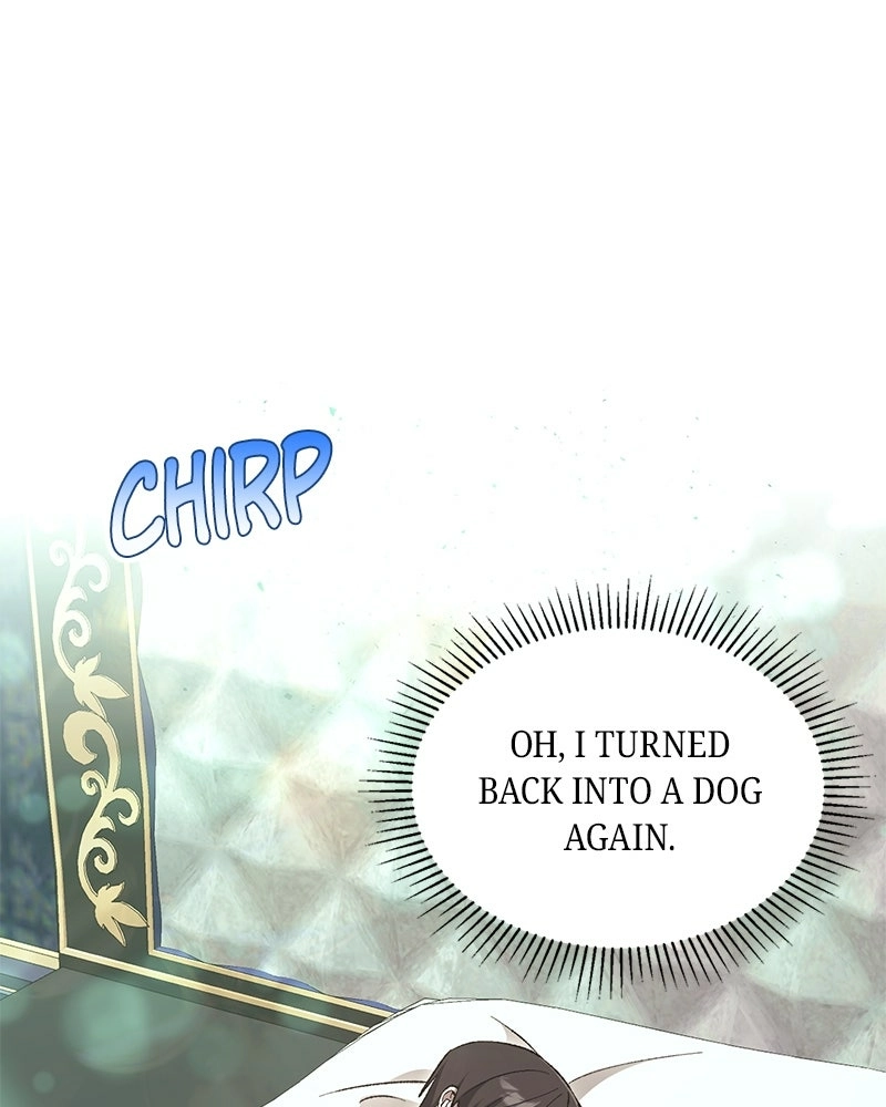 The Emperor’s Dog Chapter 54 - page 150