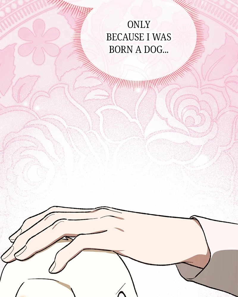 The Emperor’s Dog Chapter 54 - page 44