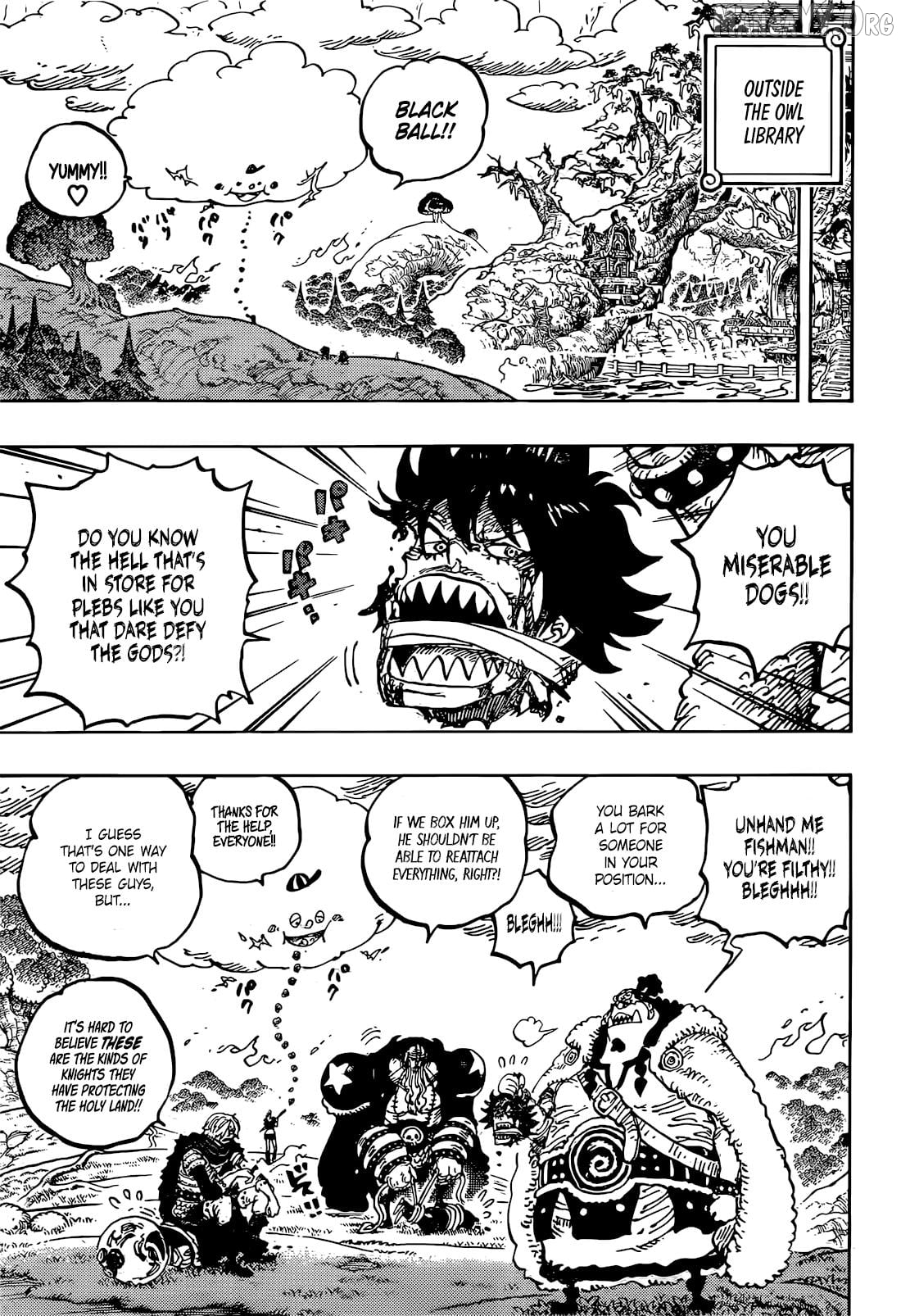 One Piece Chapter 1177 - page 10