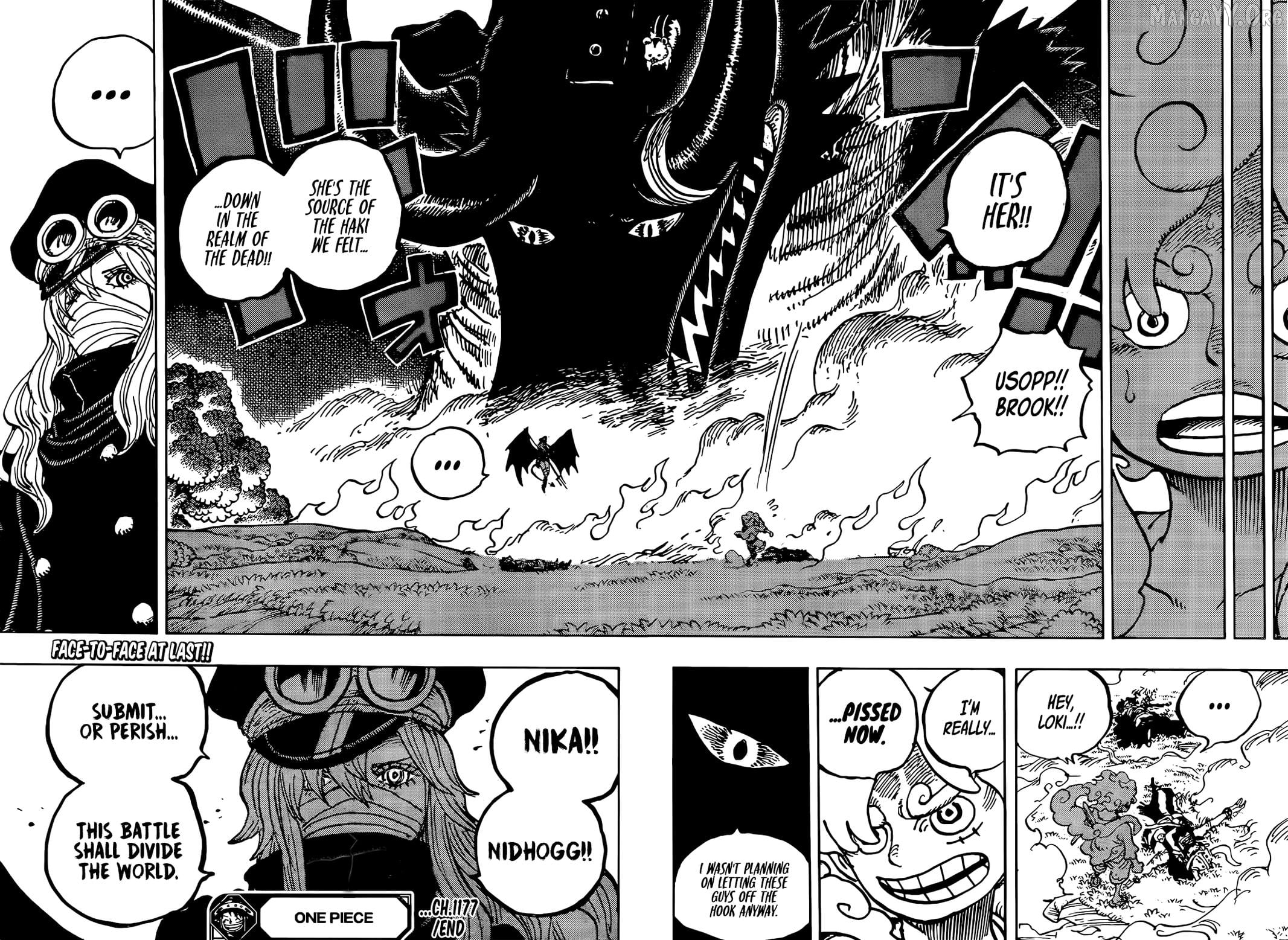 One Piece Chapter 1177 - page 17