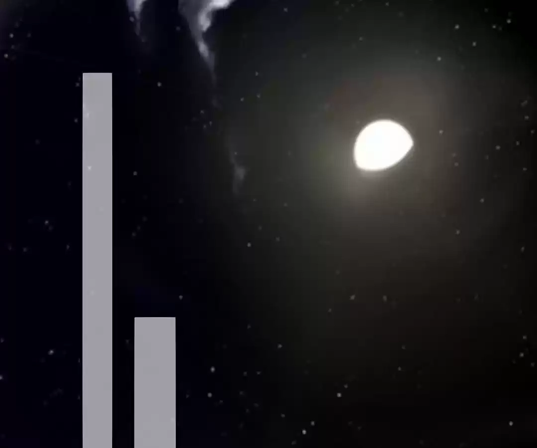 Wicked King’s Favour Chapter 205 - page 1