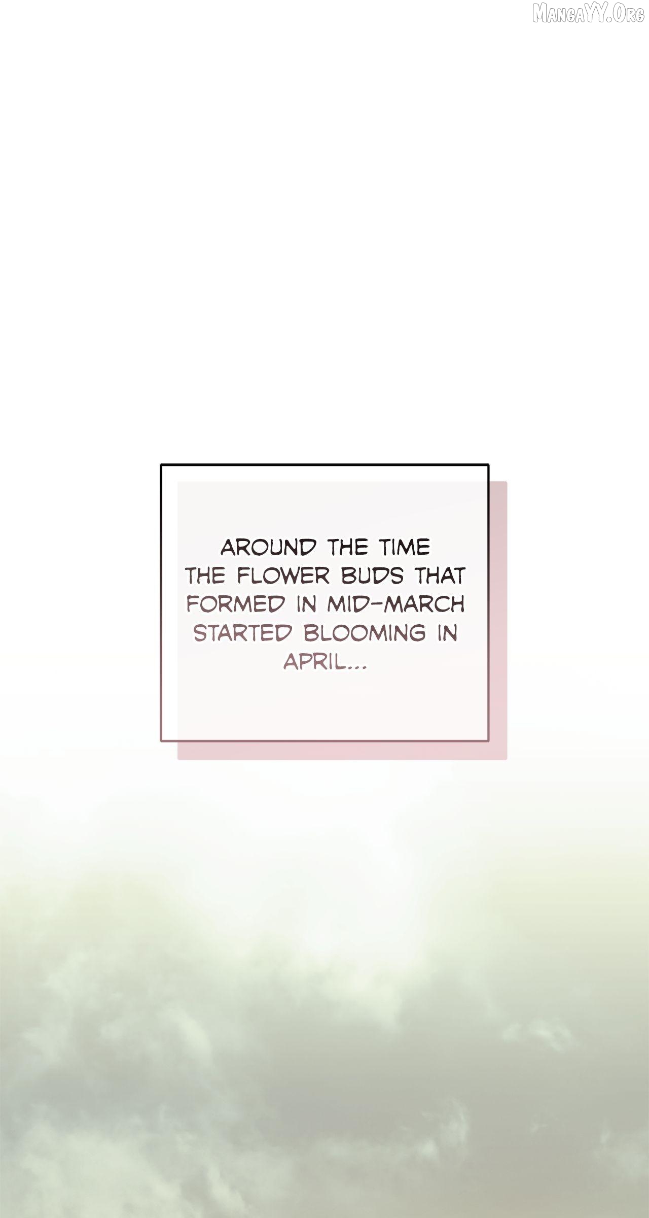 My Husband Who Hates Me Has Lost His Memories Chapter 100 - page 1