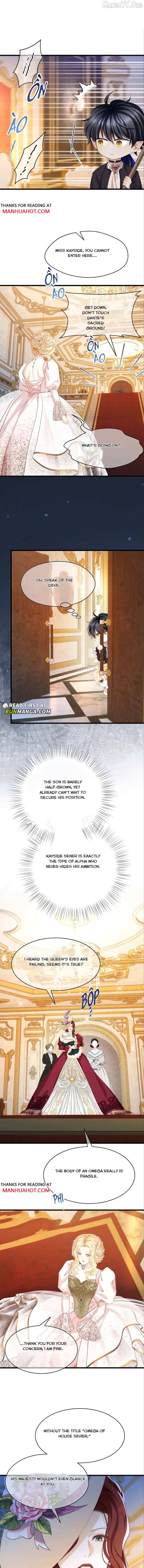 I Was Reborn as His Highness the Prince's Little Evil Dragon Chapter 110 - page 5