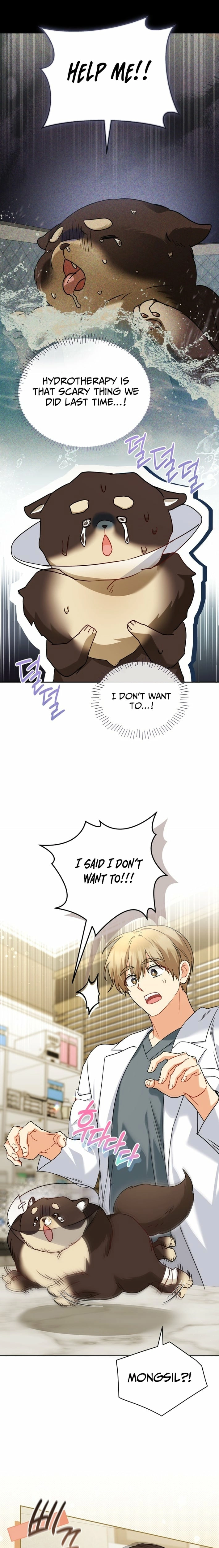 Hello! Veterinarian! Chapter 128 - page 5