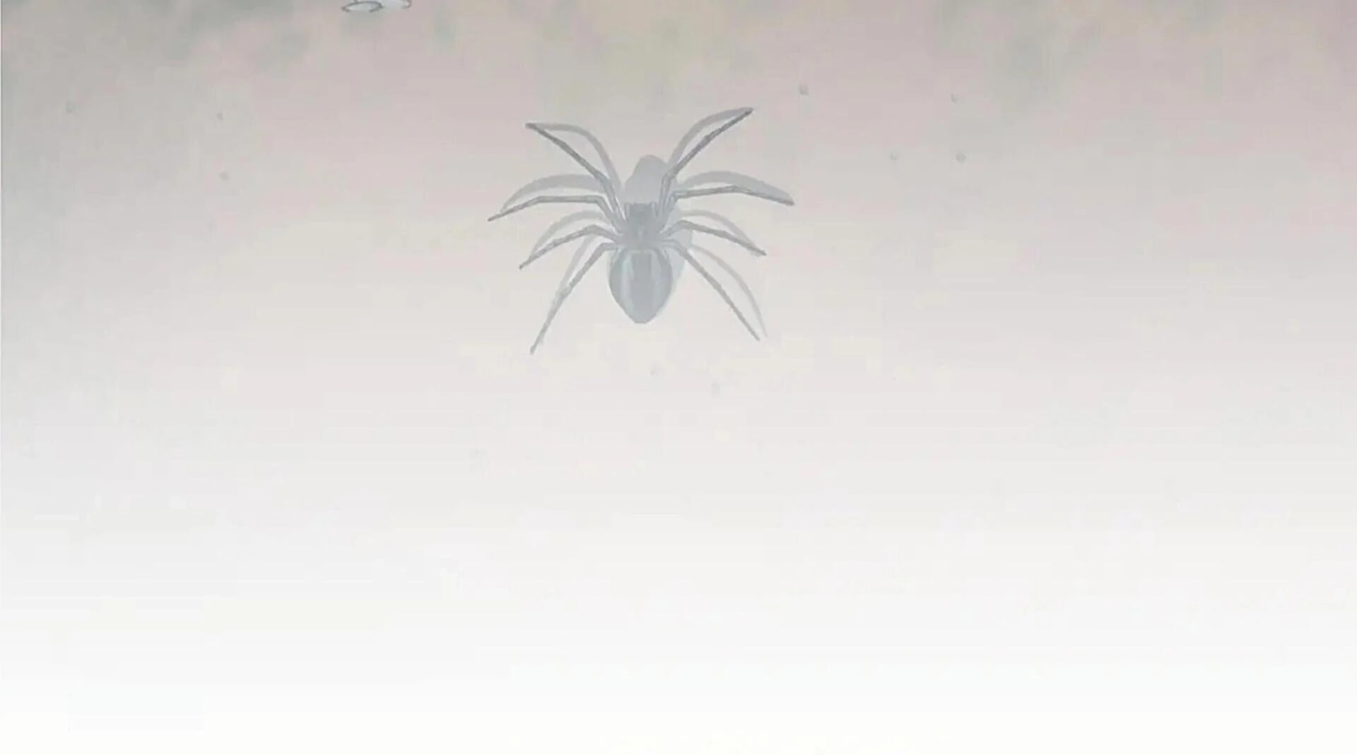 Death Delayed For A Short Time Because Of The Will Chapter 82 - page 25