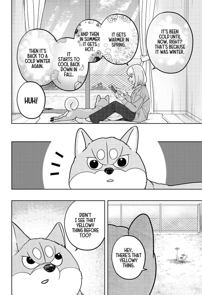 Shiba Inu Rooms Chapter 49 - page 2