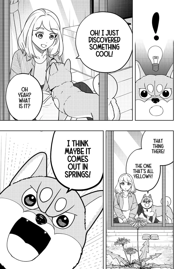 Shiba Inu Rooms Chapter 49 - page 3
