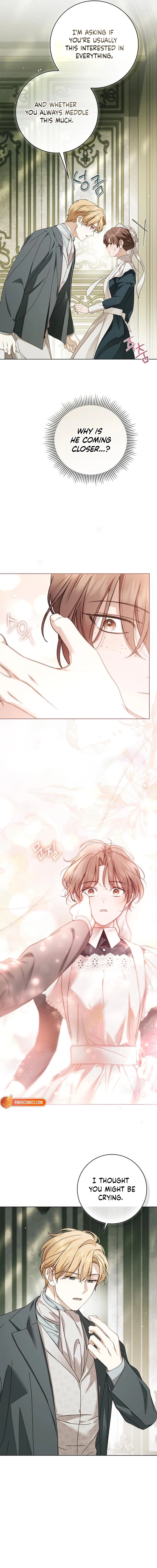 The Count’s Secret Maid Chapter 84 - page 8