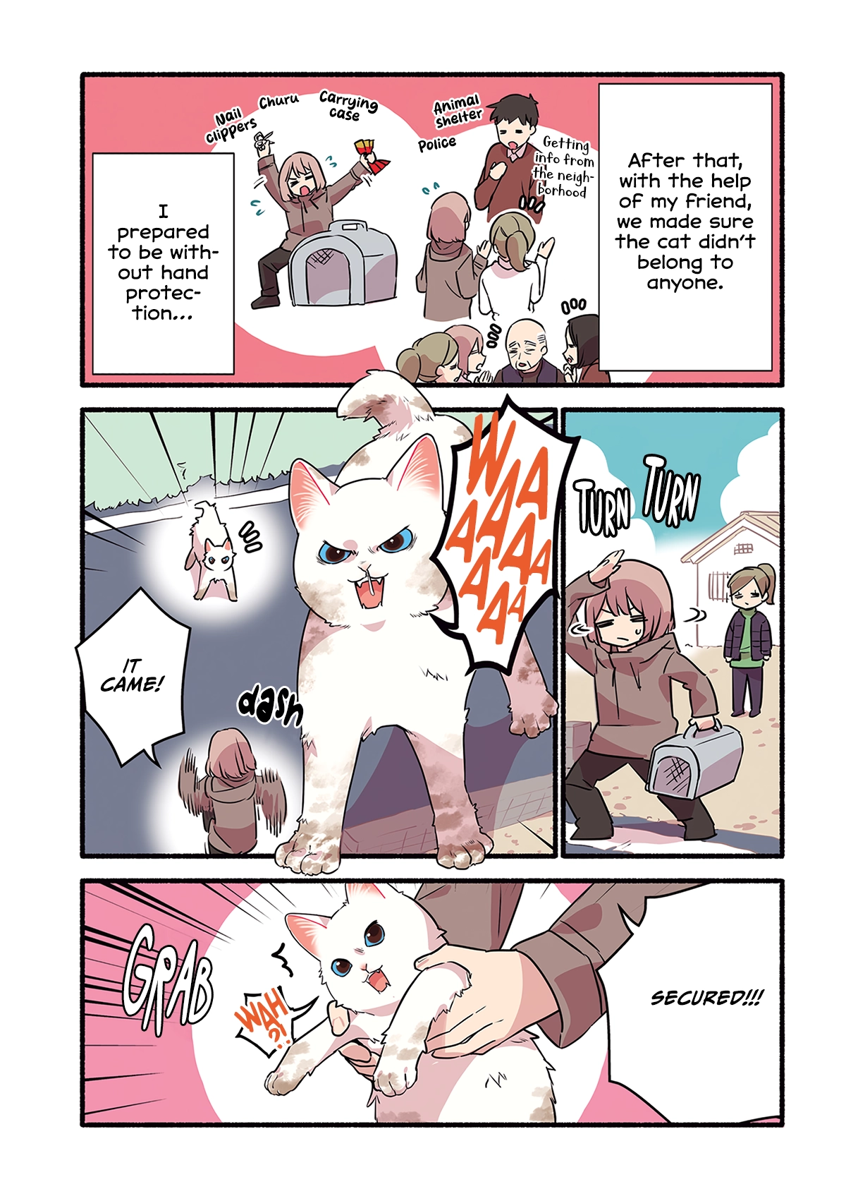 Aisaretagari no shironeko Miko-san Chapter 5 - page 17