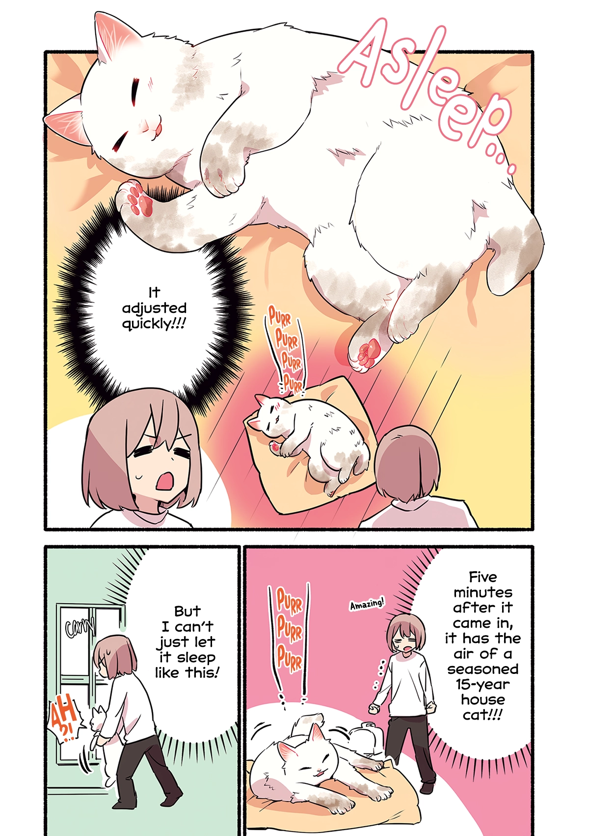 Aisaretagari no shironeko Miko-san Chapter 5 - page 20