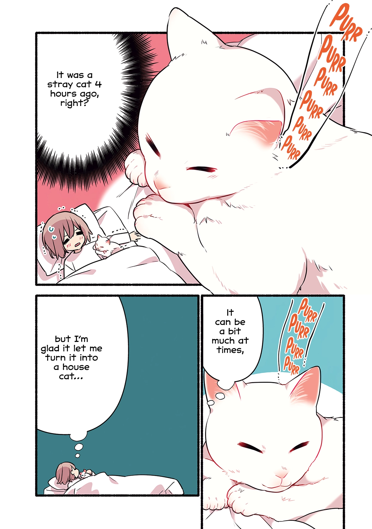 Aisaretagari no shironeko Miko-san Chapter 5 - page 23