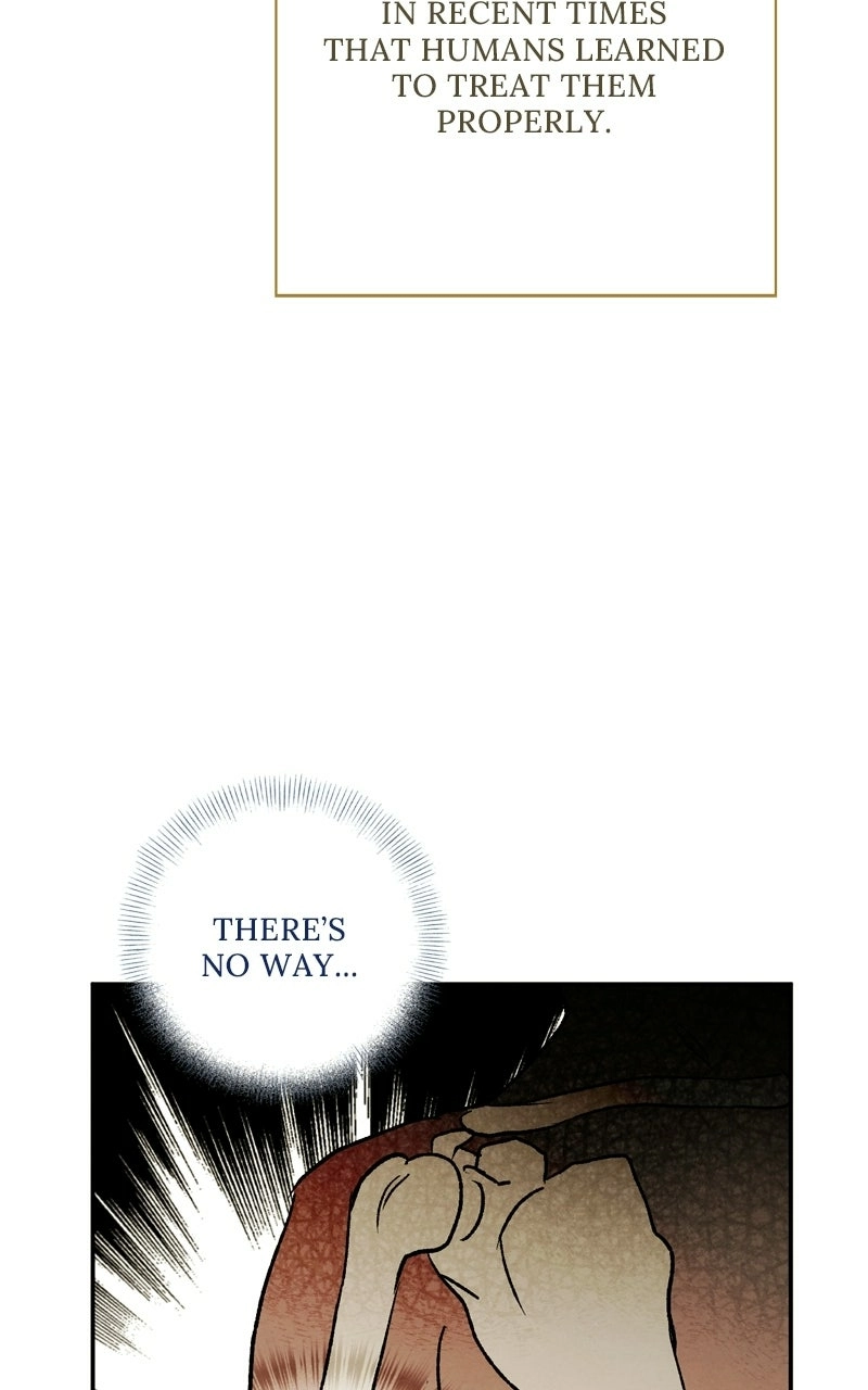 The Black-Haired British Doctor Chapter 53 - page 11