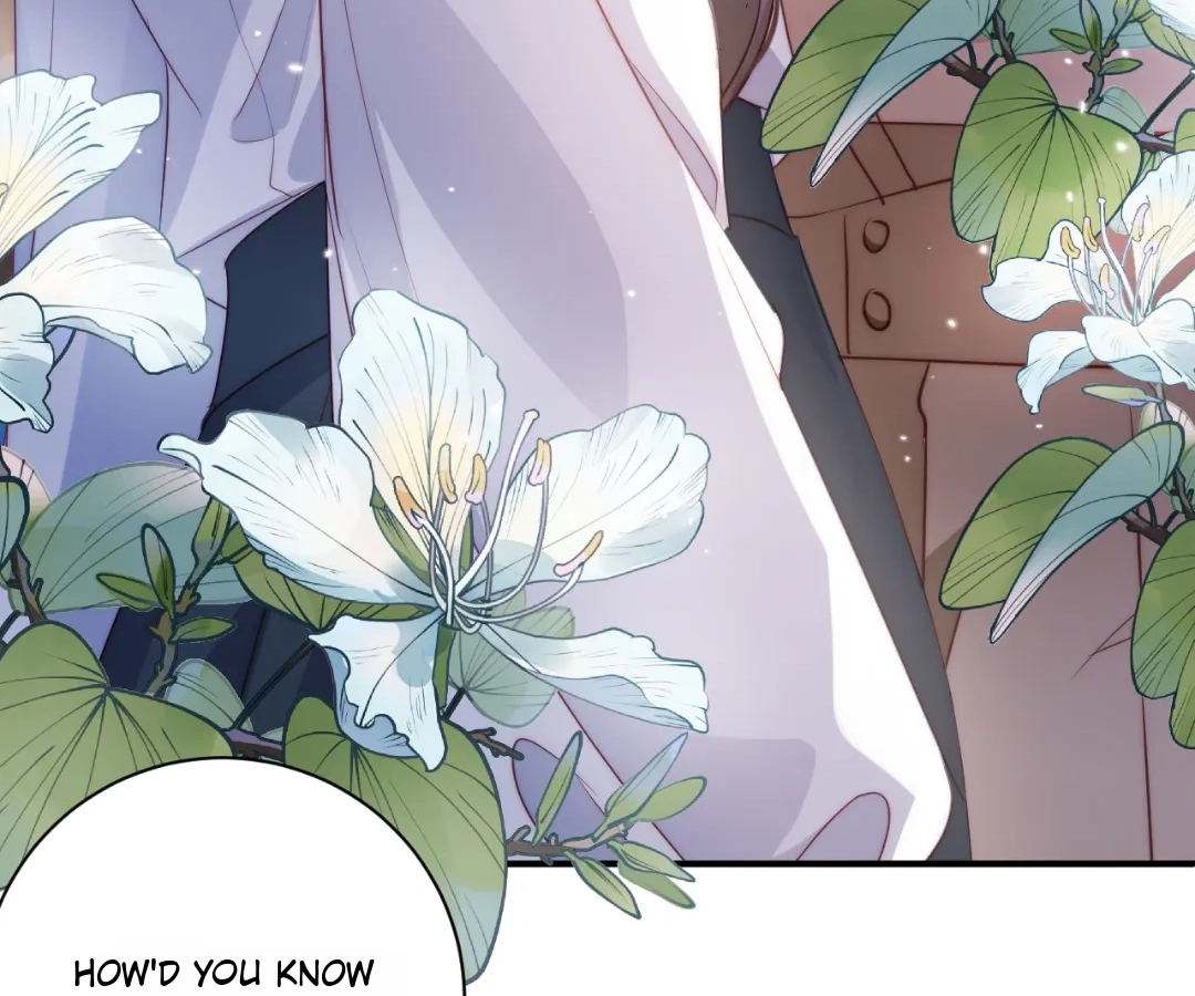 Chief’s Cute Baby: Buy One Get One Free Chapter 42 - page 20