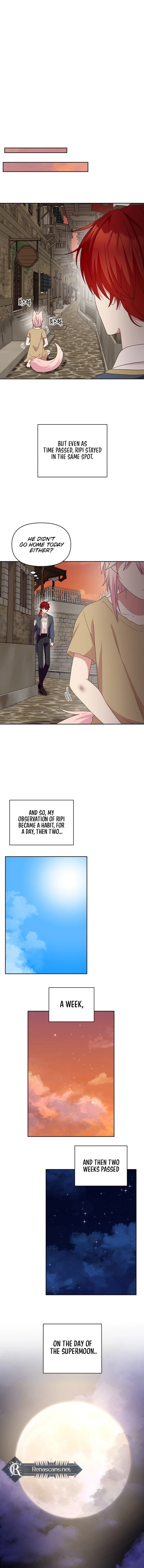 Monster costume room Chapter 36 - page 10