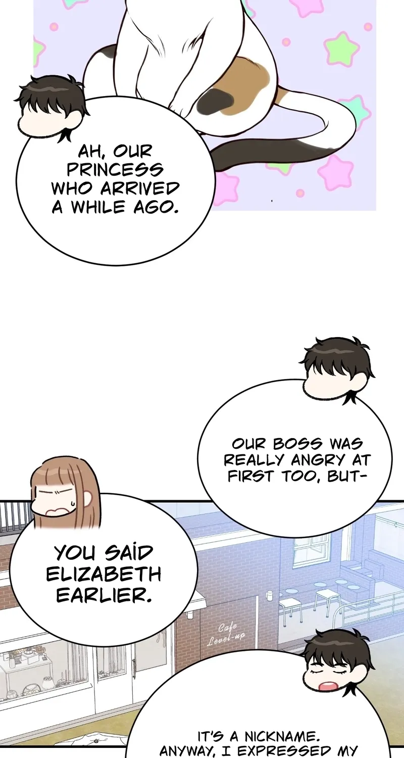 This Marriage Is Merely A Contract Chapter 39 - page 52