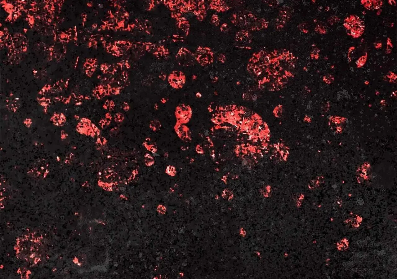 I Won’t Regret My Second Life, The Happy Ending Comes After Revenge Chapter 38 - page 18