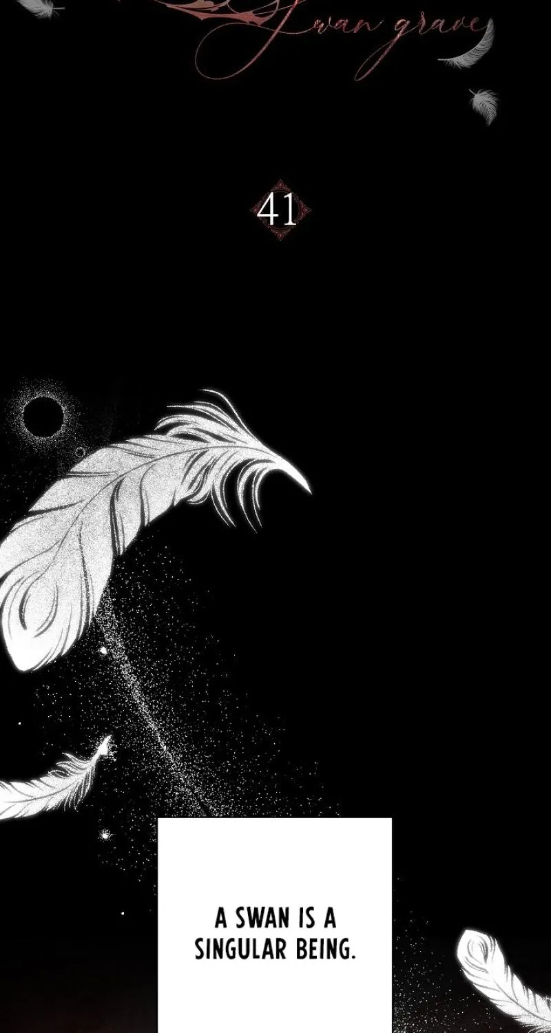 Swan’s Grave Chapter 41 - page 41