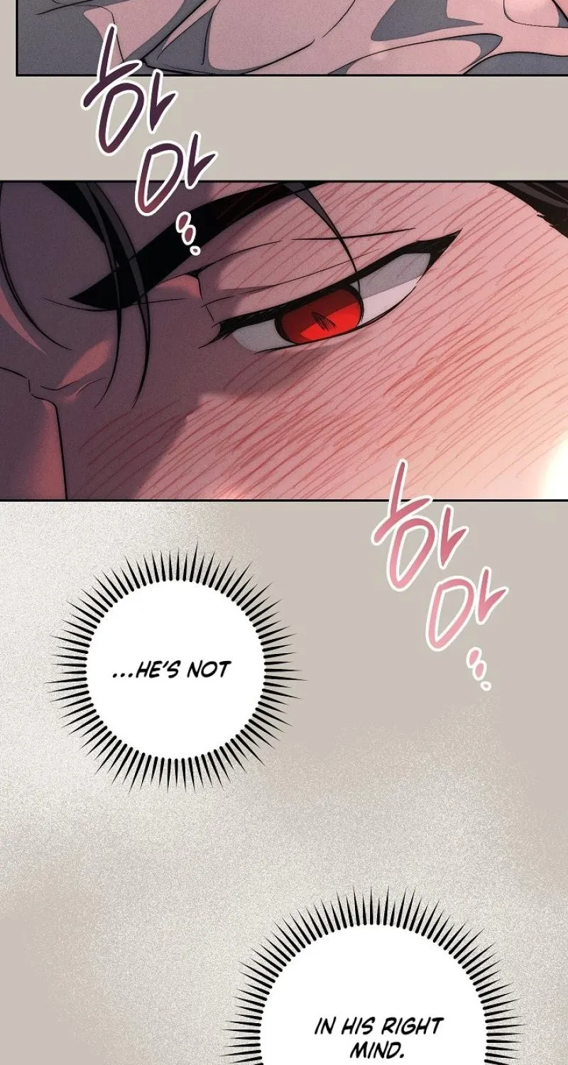 Swan’s Grave Chapter 41 - page 66