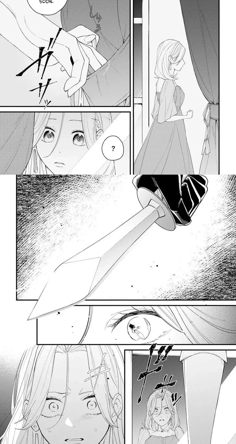 The Person I Planned to Kill Is Overwhelmingly in Love With Me and It’s a Problem Chapter 15 - page 17