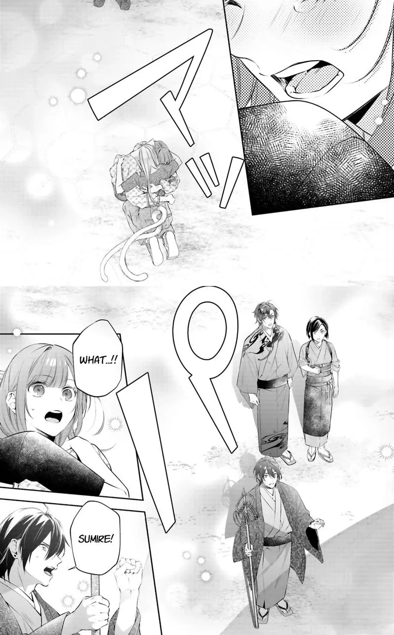 The Crow-Tengu Lord’s Most Beloved Vow Chapter 15 - page 14