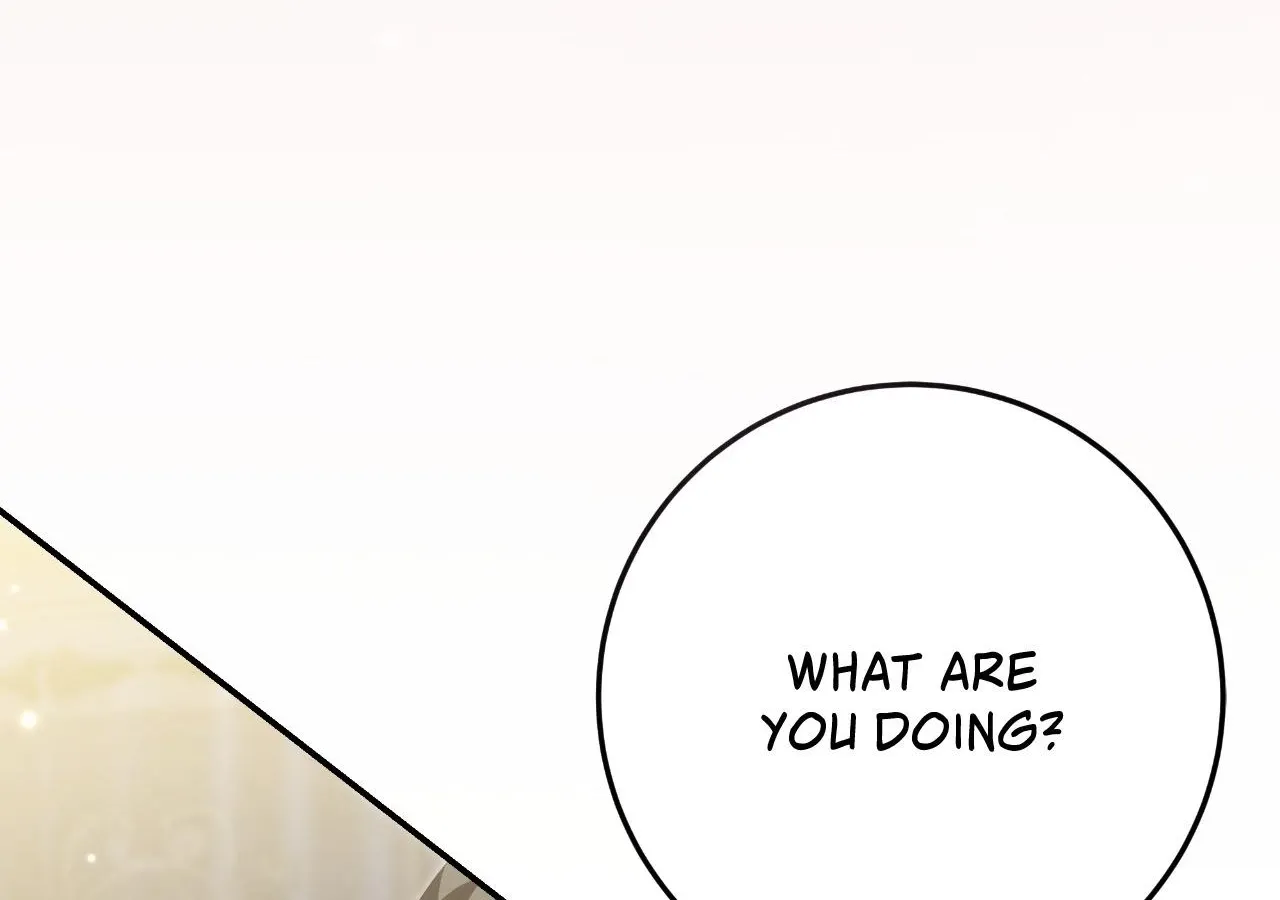 The Captive Princess At Night Chapter 22 - page 25