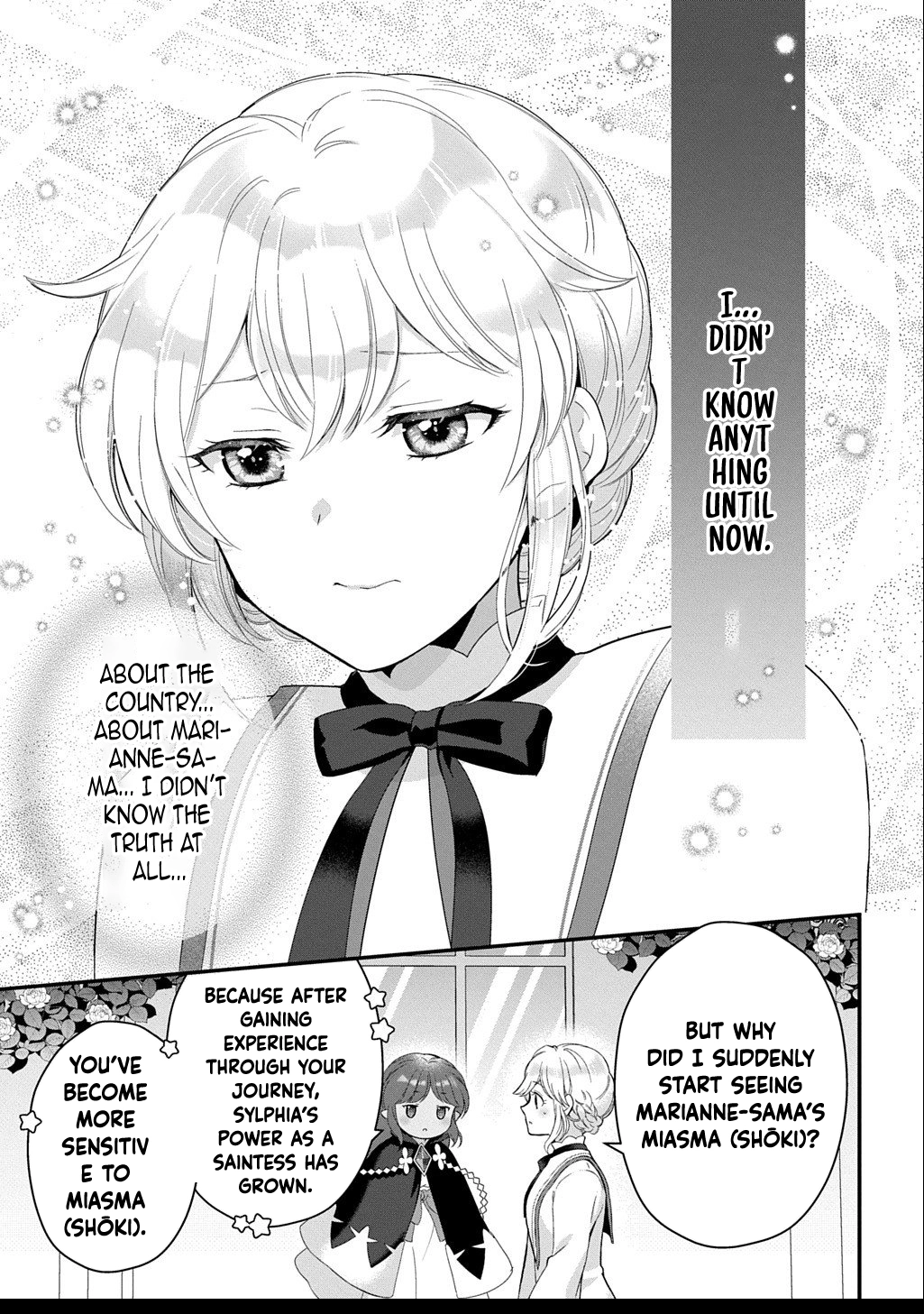 The Decorative Saint Awakens to Her True Power Chapter 11 - page 17