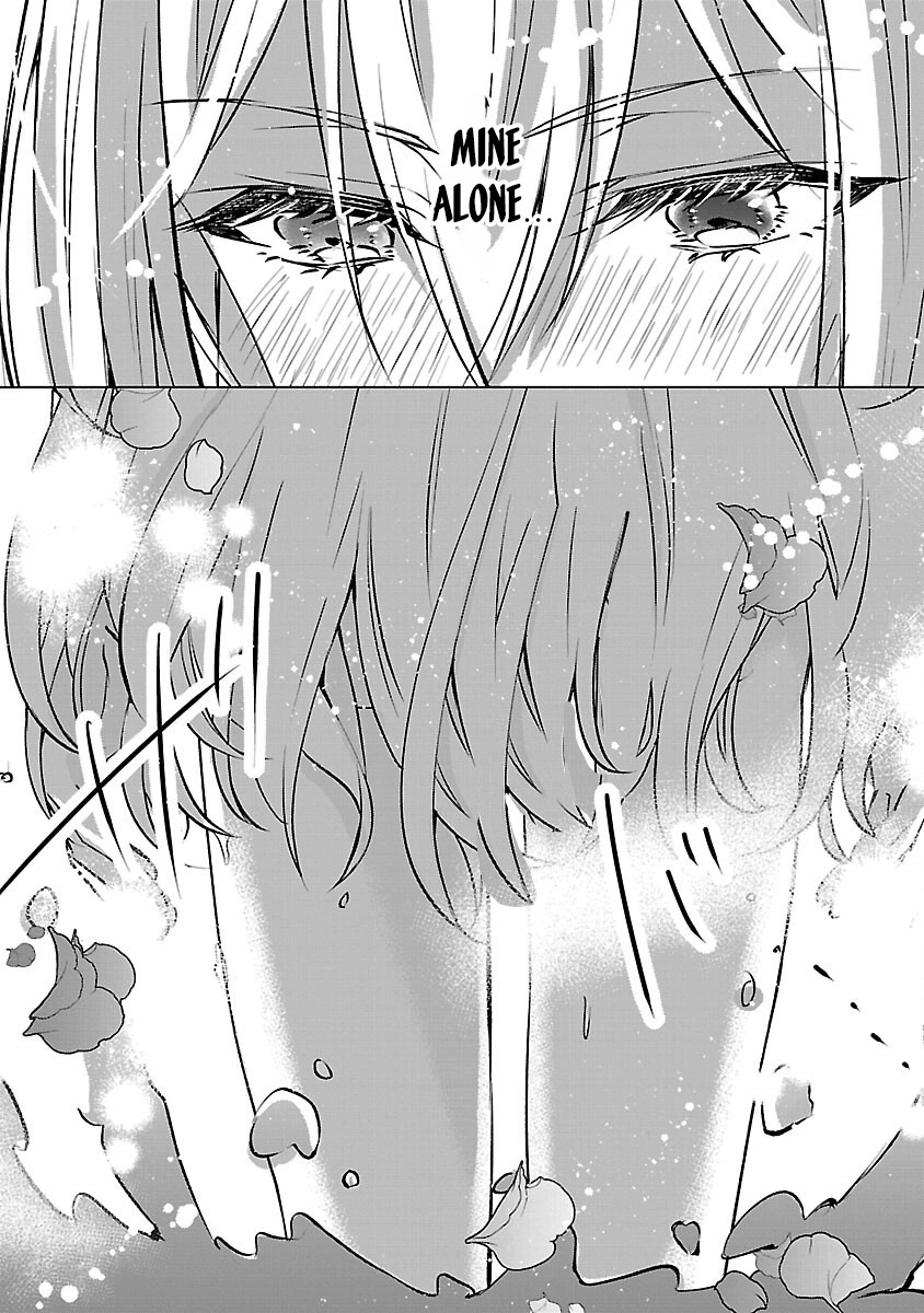 I Became My Idol’s Sister, So I’ll Be a Villainess to Keep My Brother. Chapter 10 - page 17