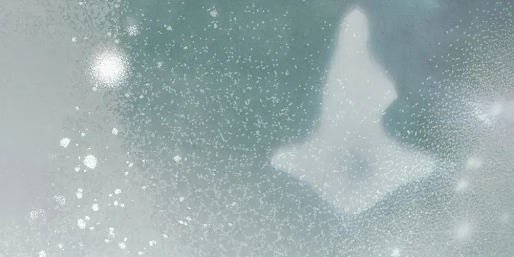 Absolute Adoration Chapter 29 - page 25