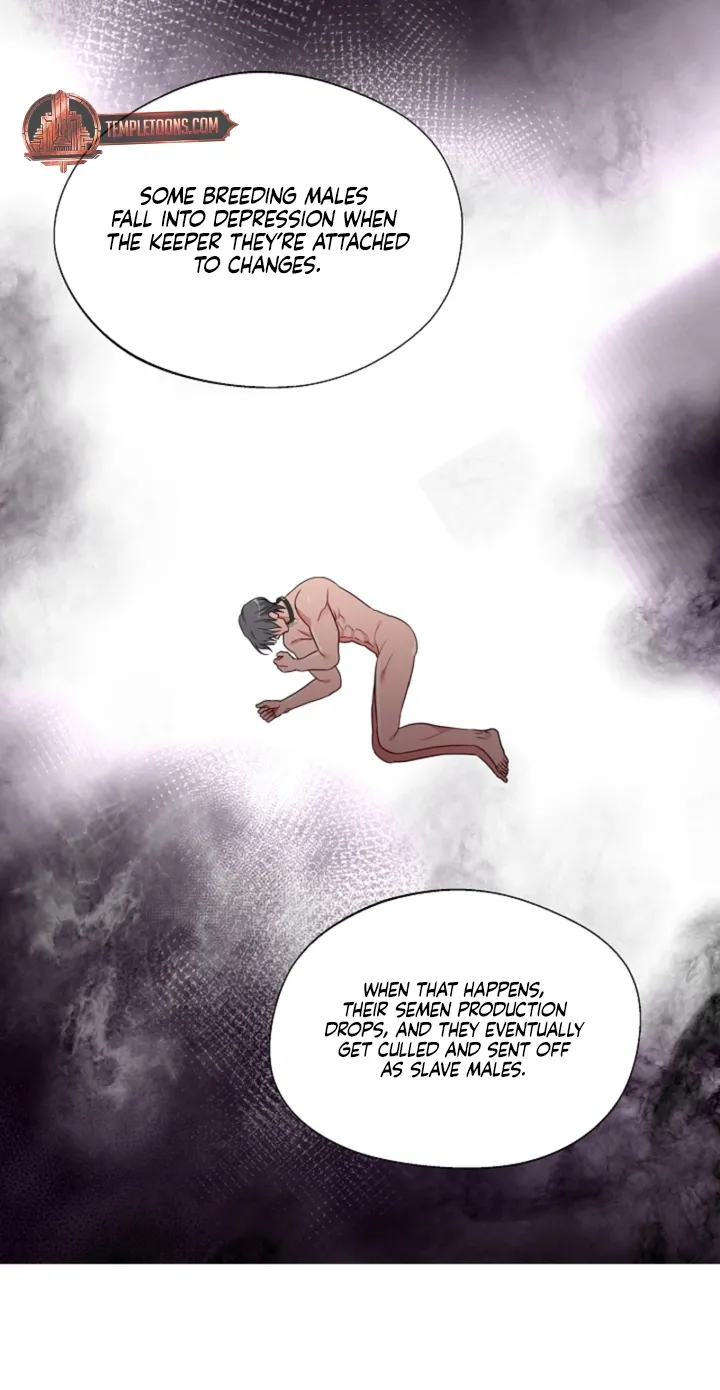 Males In The Breeding Room Chapter 12 - page 26