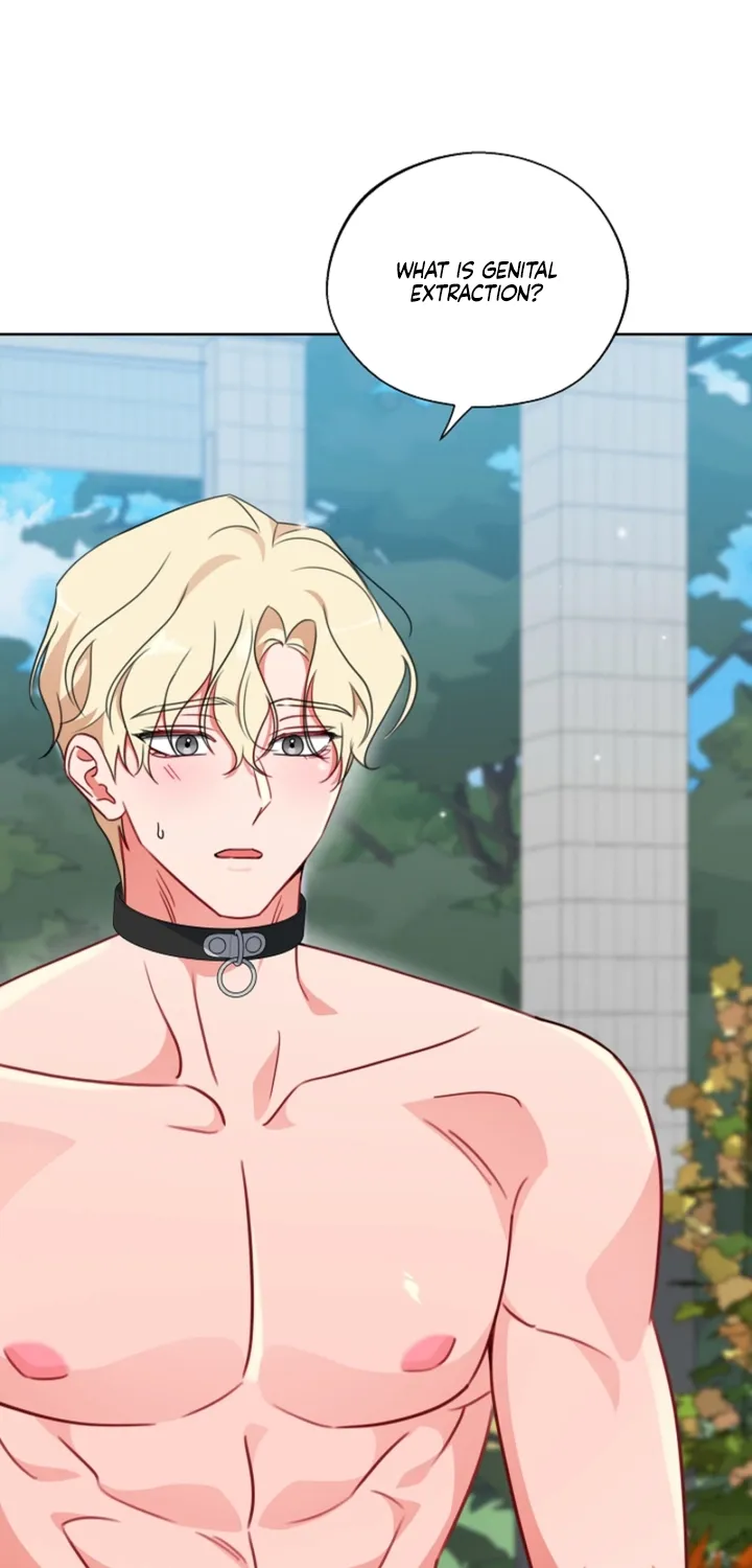 Males In The Breeding Room Chapter 15 - page 11